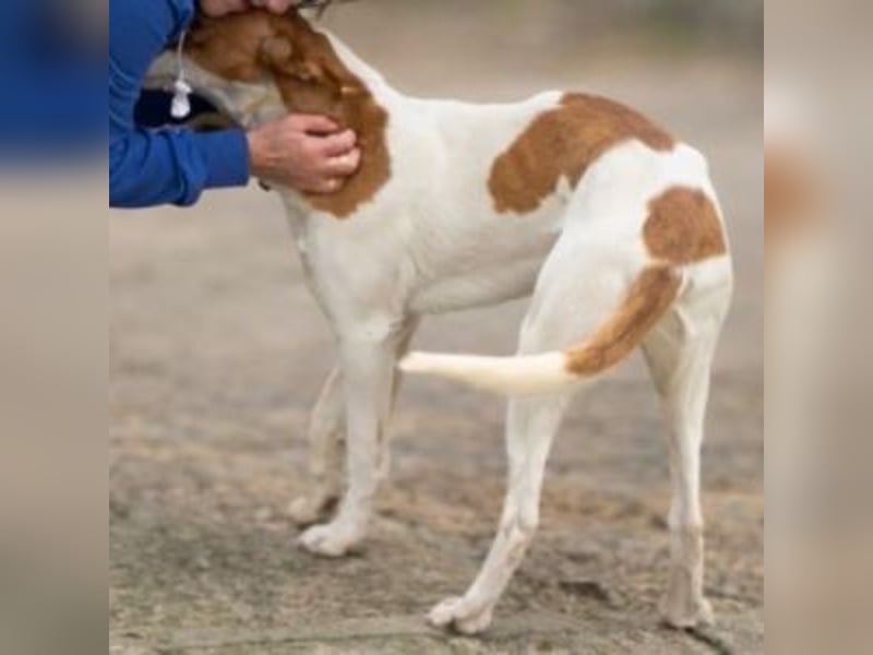 Amun hat ein offenes, freundliches Wesen