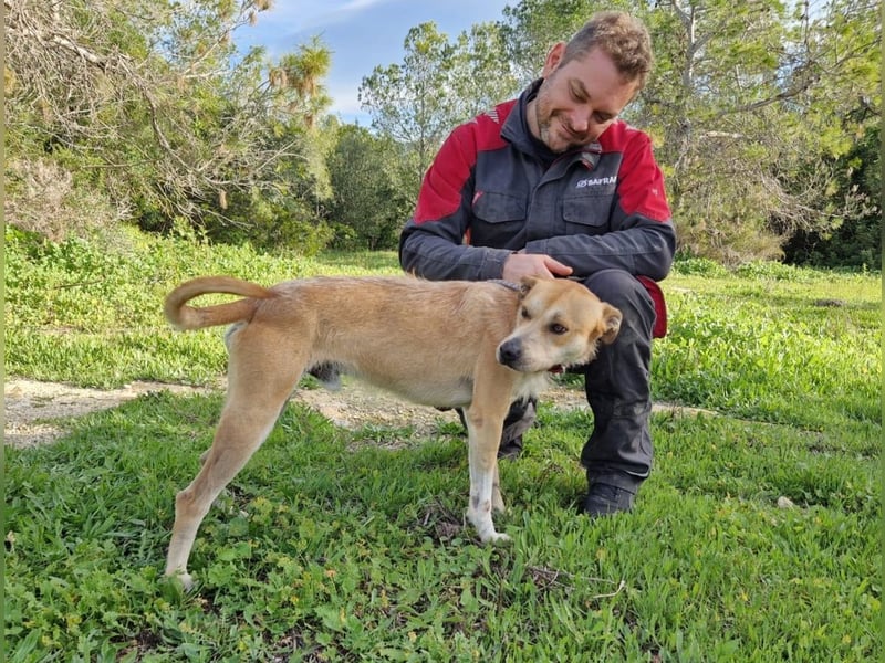 SORINN bringt gute Laune mit