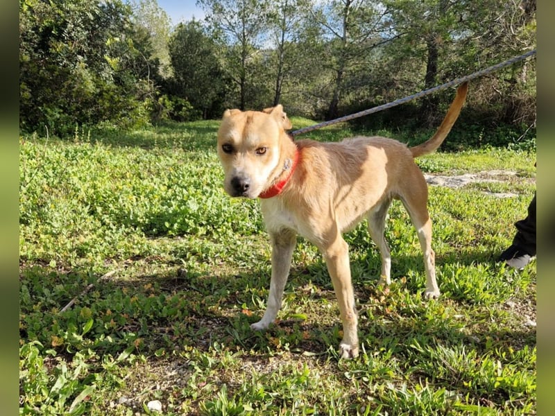 SORINN bringt gute Laune mit