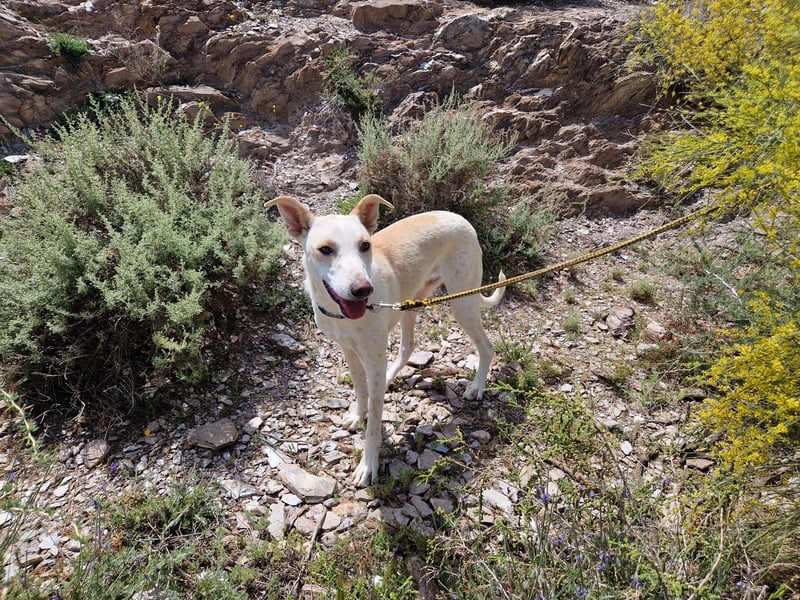 FEIVEL auf Pflege in D, in 47574 Goch/NRW