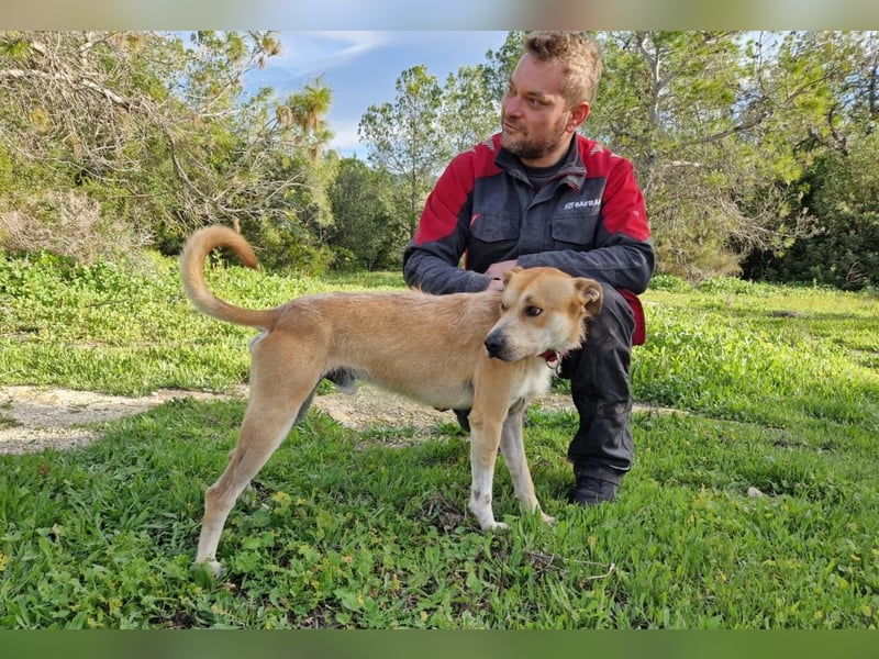 SORINN bringt gute Laune mit