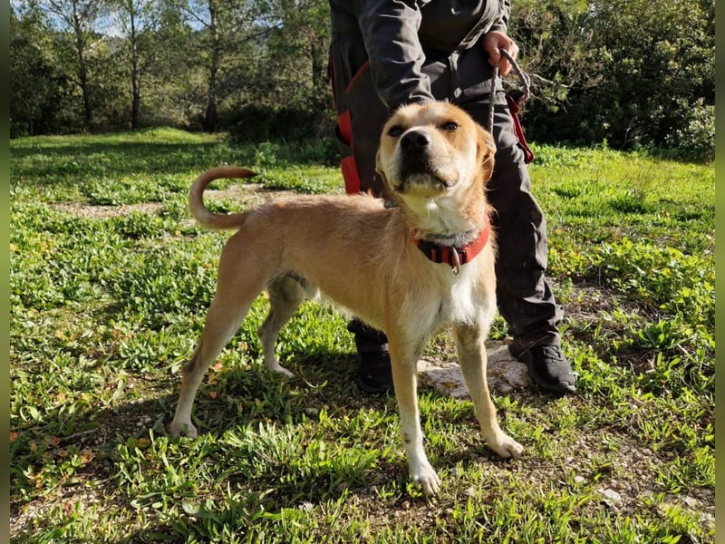 SORINN bringt gute Laune mit