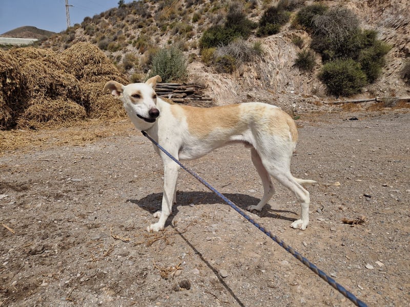 FEIVEL auf Pflege in D, in 47574 Goch/NRW