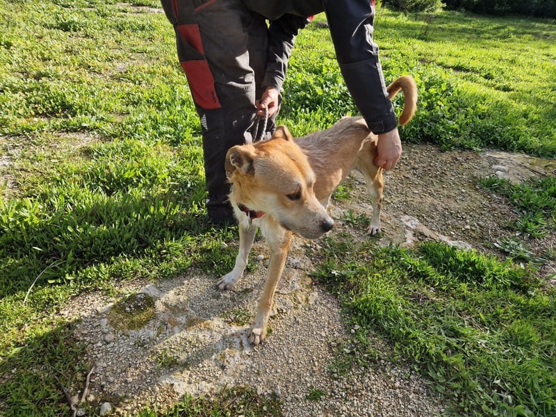 SORINN bringt gute Laune mit