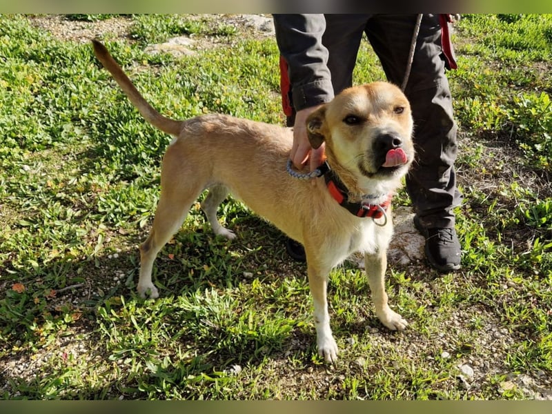 SORINN bringt gute Laune mit