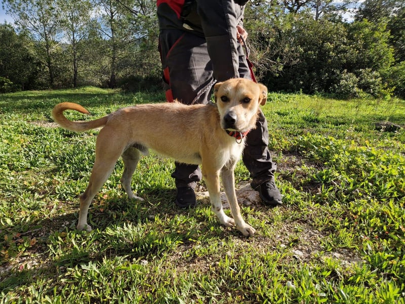 SORINN bringt gute Laune mit