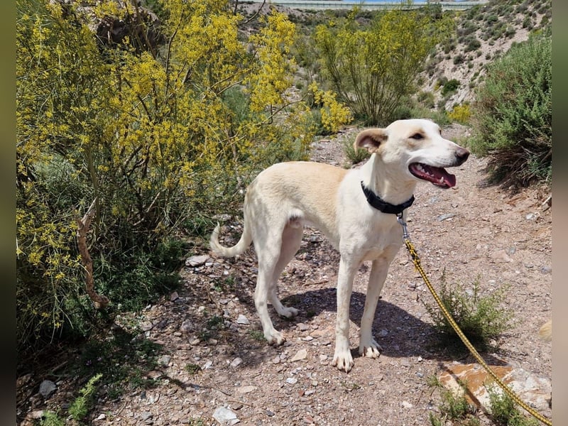 FEIVEL auf Pflege in D, in 47574 Goch/NRW