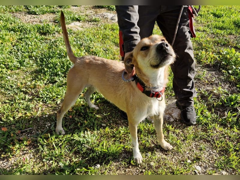 SORINN bringt gute Laune mit