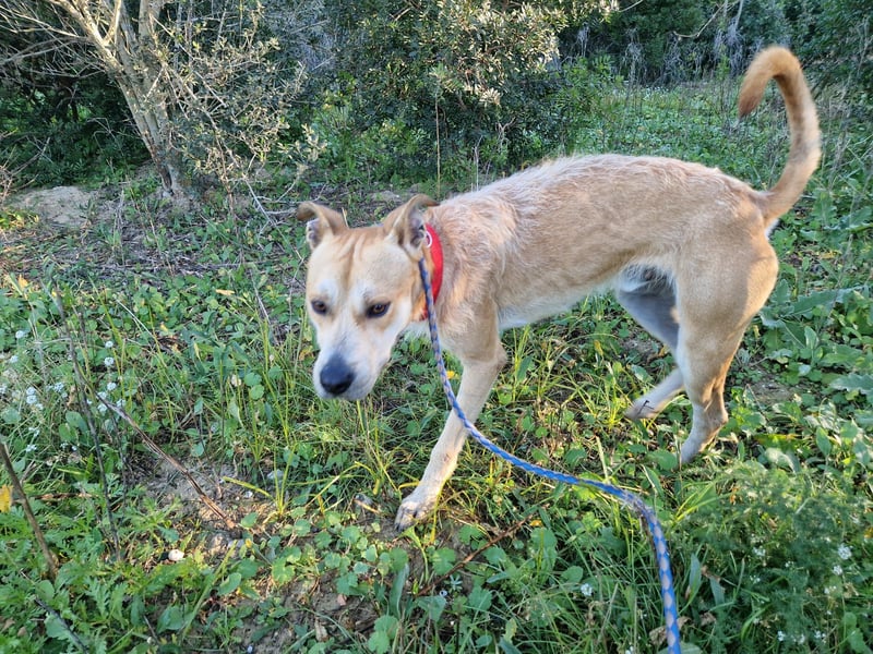 SORINN bringt gute Laune mit