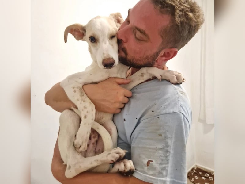 FEIVEL auf Pflege in D, in 47574 Goch/NRW