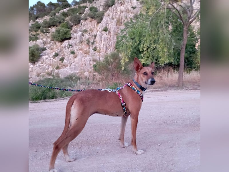 NOA