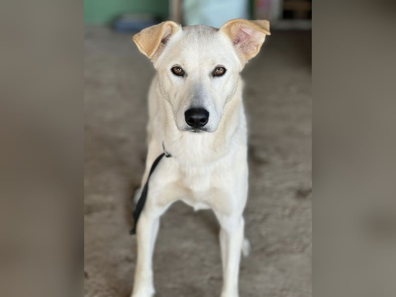 Lea eine wundervolle freundliche