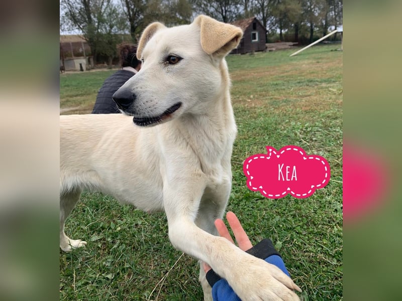 Lea eine wundervolle freundliche