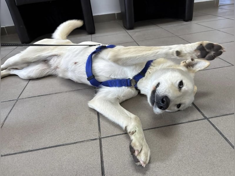 Lea eine wundervolle freundliche