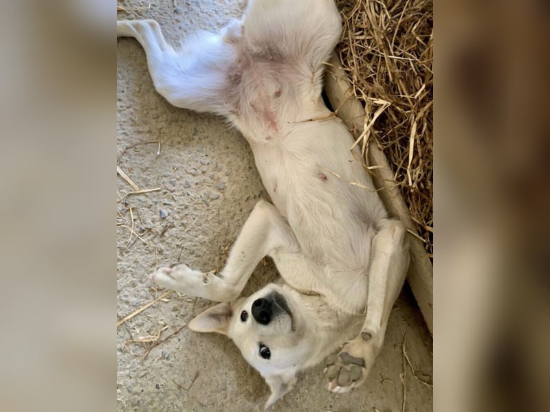 Lea eine wundervolle freundliche