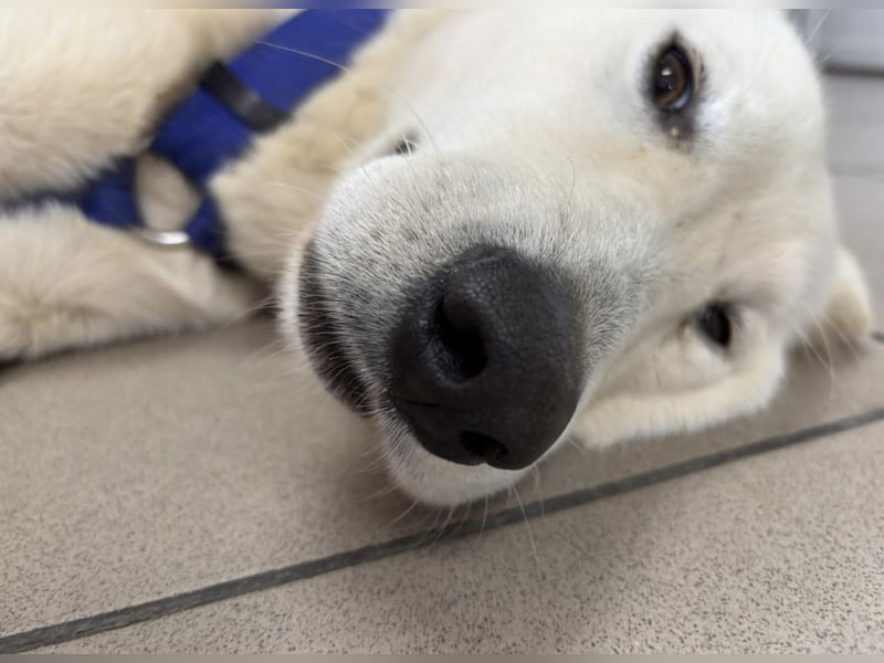 Lea eine wundervolle freundliche