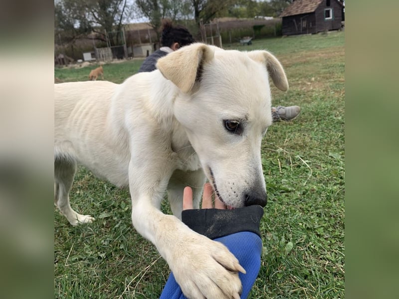 Lea eine wundervolle freundliche