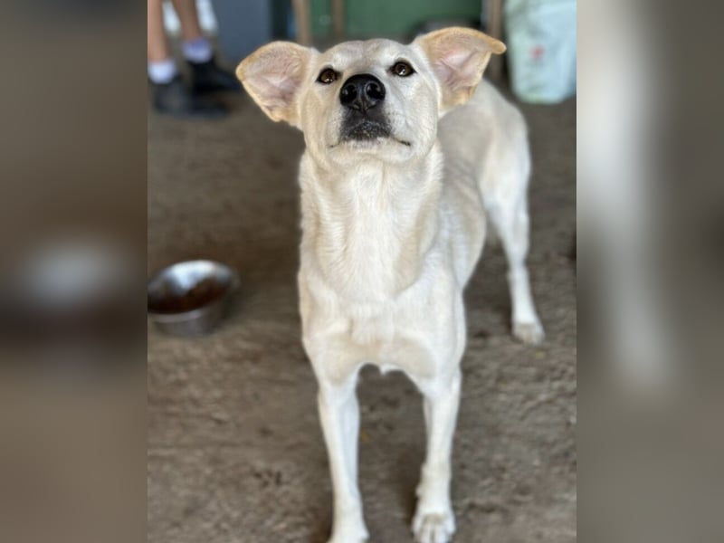 Lea eine wundervolle freundliche