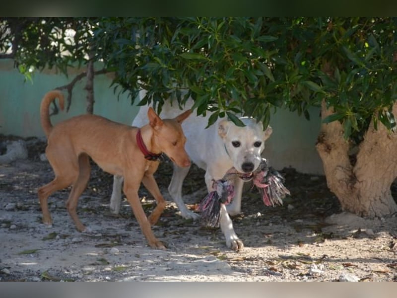 ❤️ MORGANA ❤️