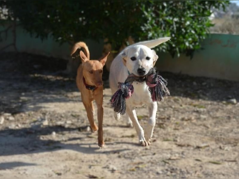 ❤️ MORGANA ❤️