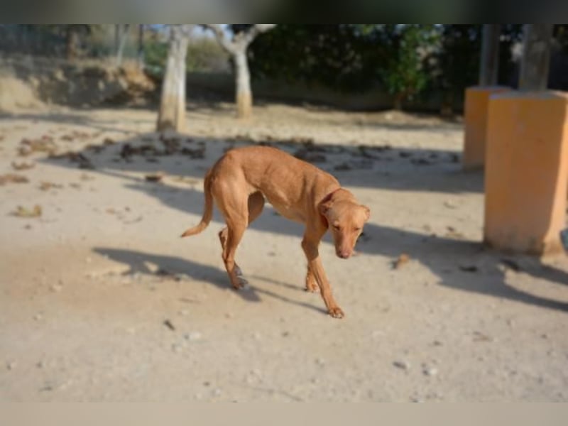 ❤️ MORGANA ❤️