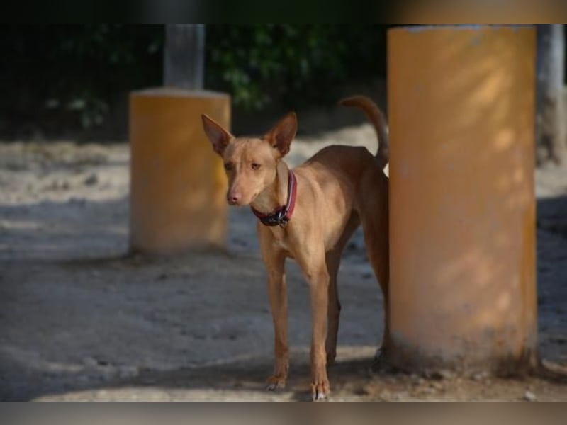 ❤️ MORGANA ❤️