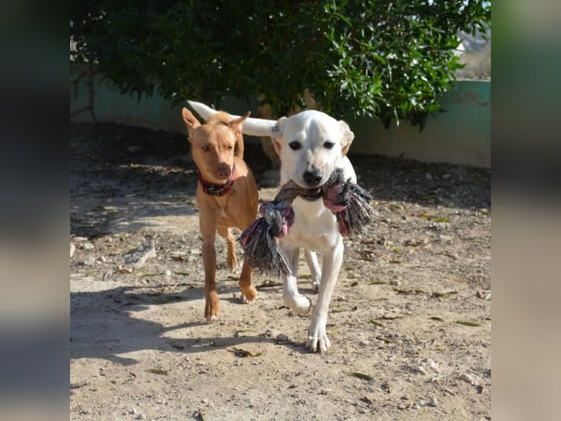 ❤️ MORGANA ❤️