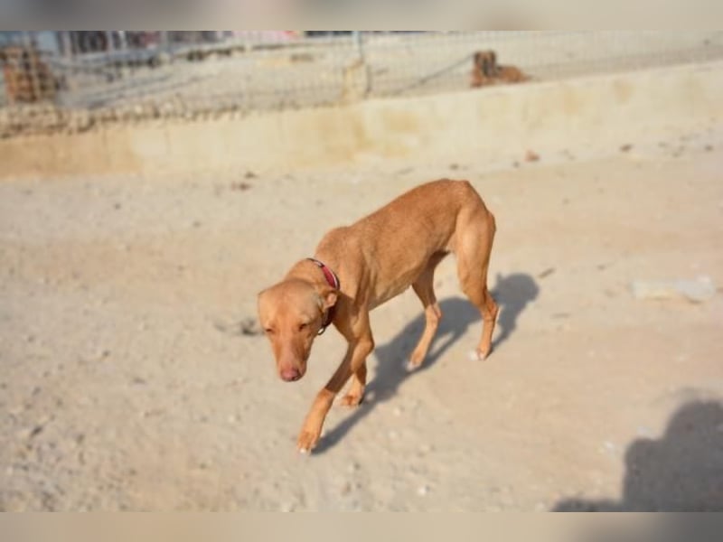 ❤️ MORGANA ❤️