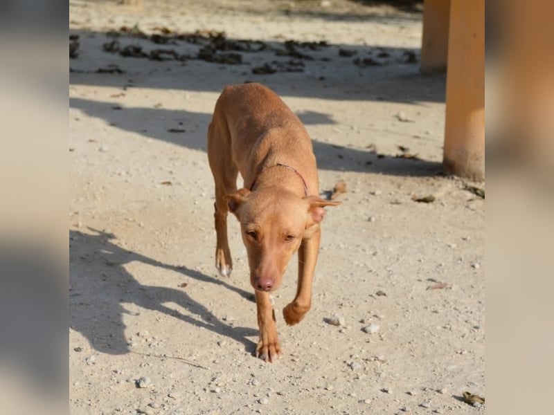 ❤️ MORGANA ❤️