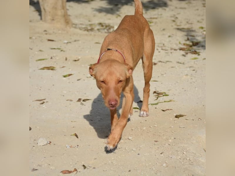 ❤️ MORGANA ❤️