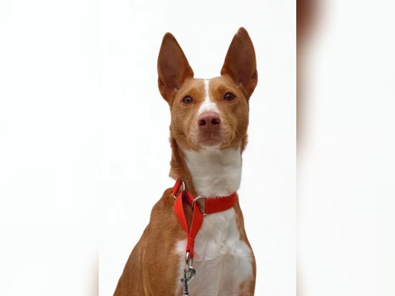 Maddy ❤️ klug, charmant, sucht Sicherheit