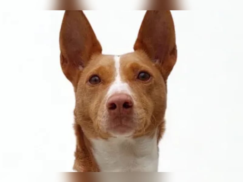 Maddy ❤️ klug, charmant, sucht Sicherheit