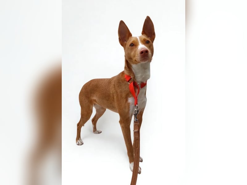 Maddy ❤️ klug, charmant, sucht Sicherheit