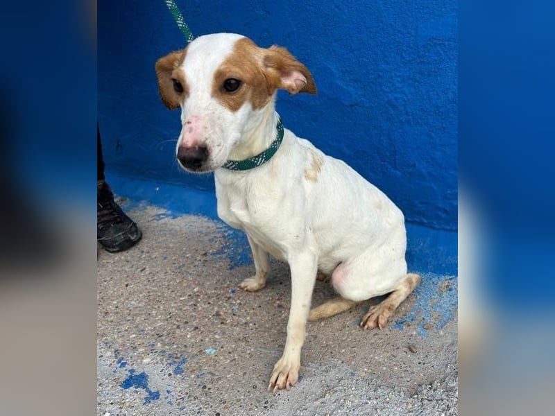 RIA Menschen findet Ria richtig gut