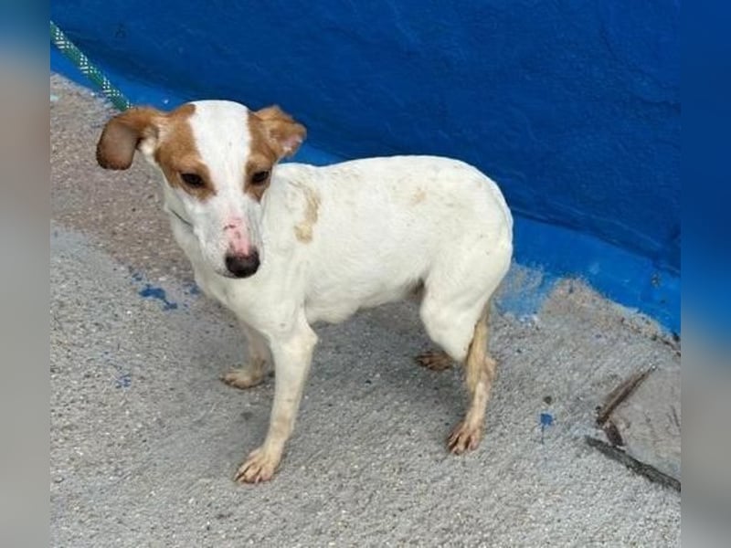 RIA Menschen findet Ria richtig gut