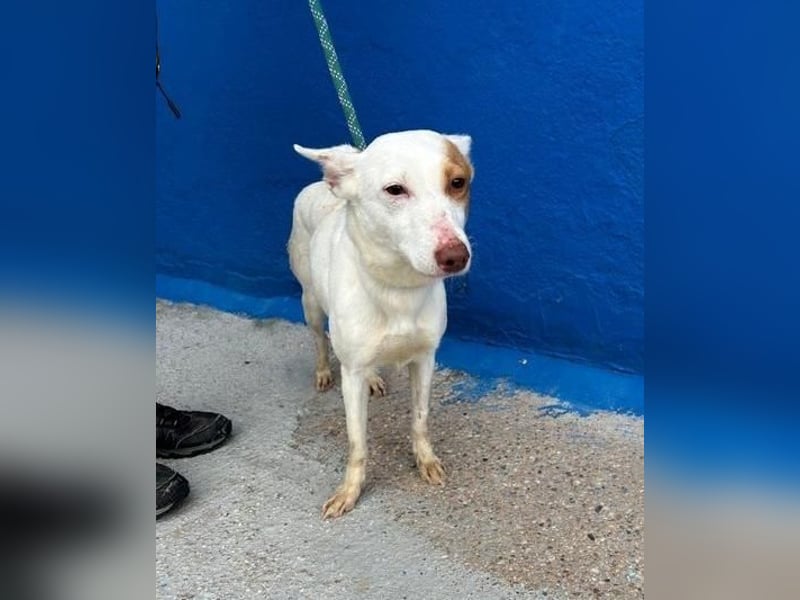 LUNI Menschen findet Luni richtig gut