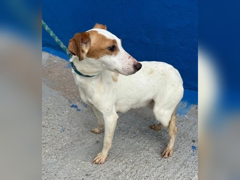 RIA Menschen findet Ria richtig gut