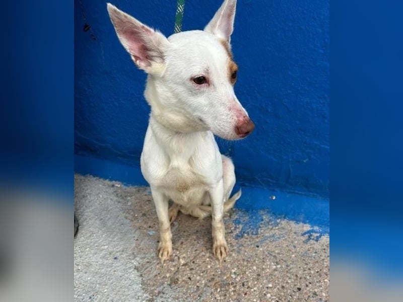 LUNI Menschen findet Luni richtig gut