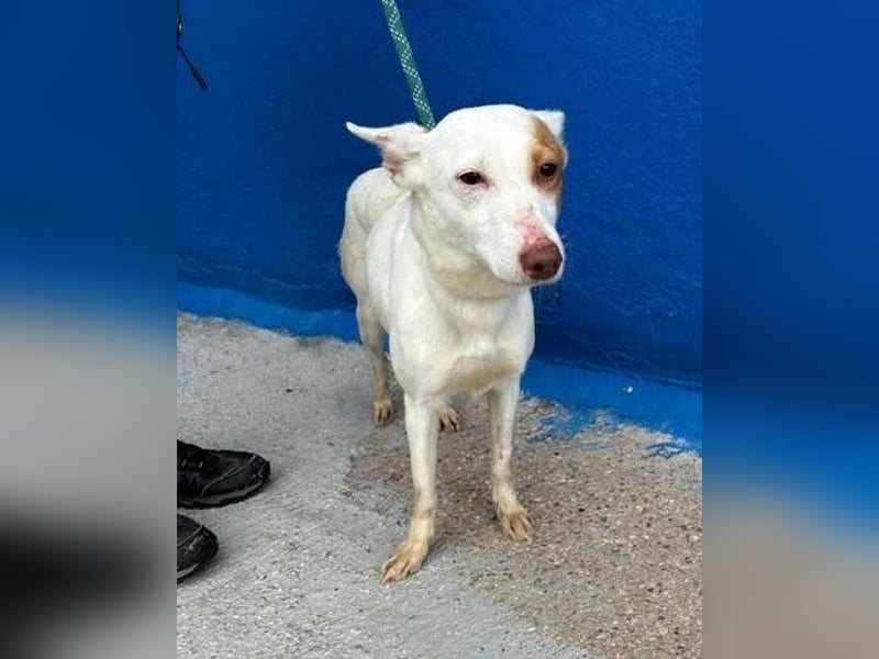 LUNI Menschen findet Luni richtig gut