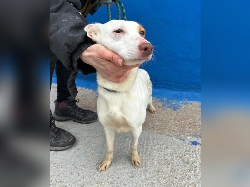 LUNI Menschen findet Luni richtig gut