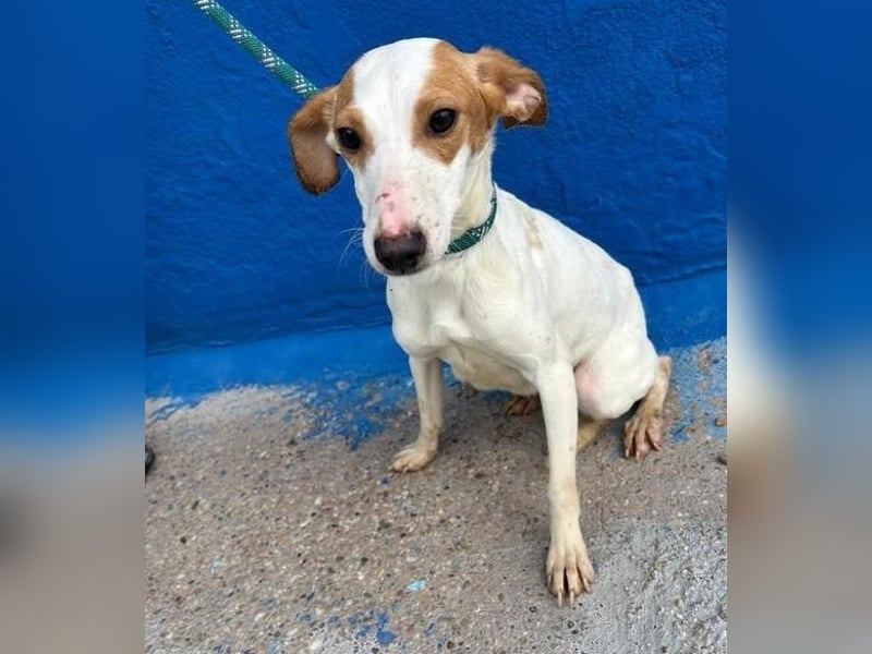 RIA Menschen findet Ria richtig gut