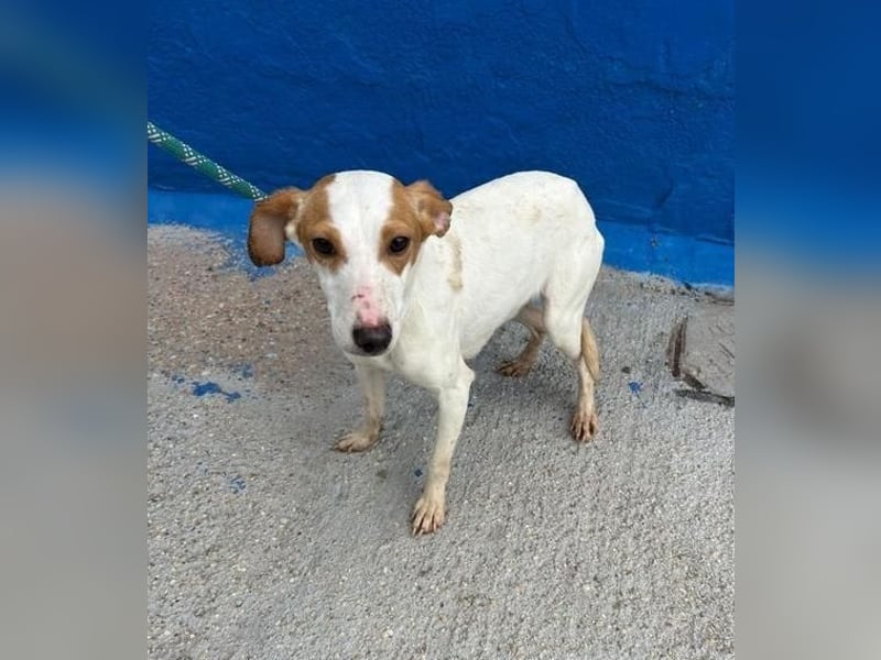 RIA Menschen findet Ria richtig gut