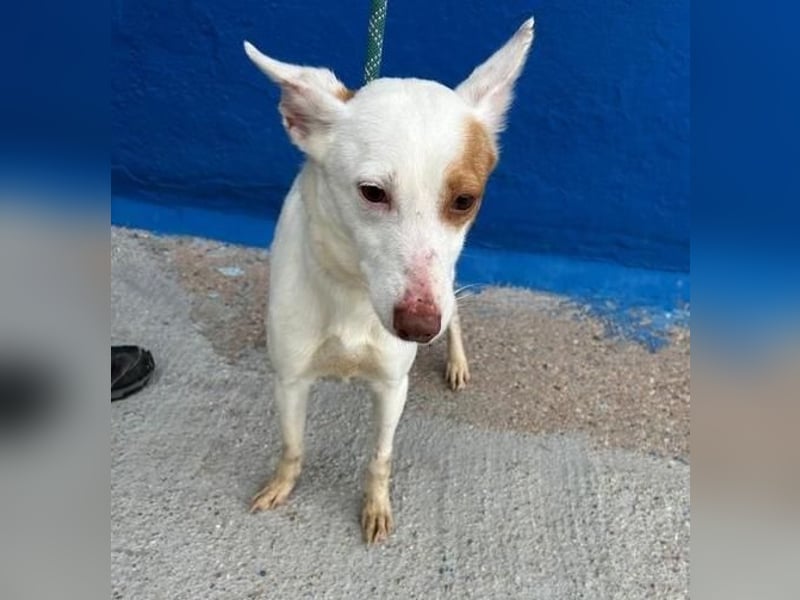 LUNI Menschen findet Luni richtig gut