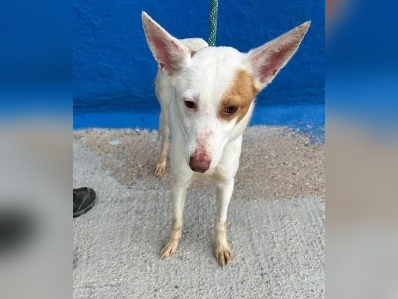 LUNI Menschen findet Luni richtig gut