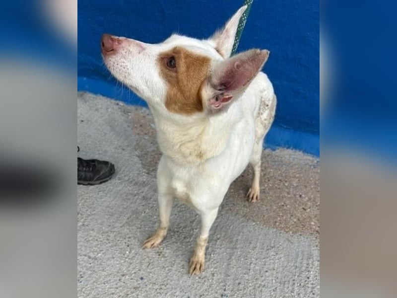 LUNI Menschen findet Luni richtig gut