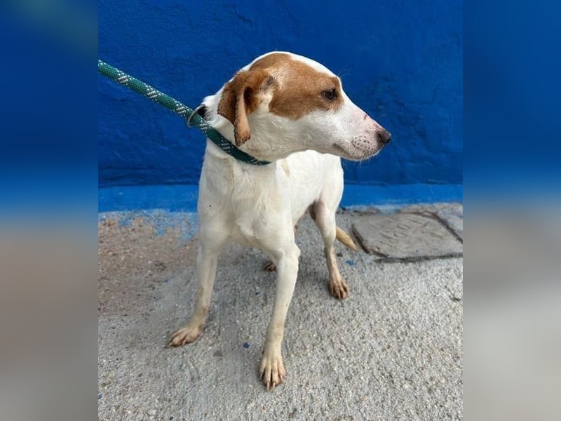 RIA Menschen findet Ria richtig gut