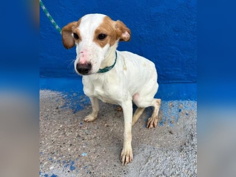 RIA Menschen findet Ria richtig gut