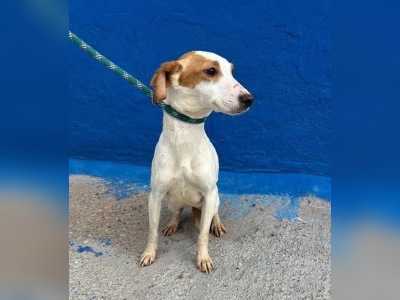 RIA Menschen findet Ria richtig gut