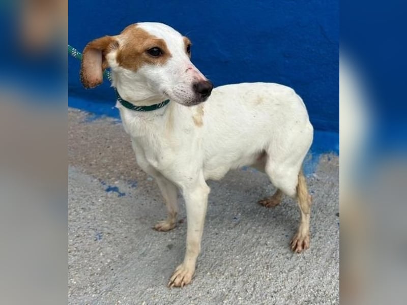 RIA Menschen findet Ria richtig gut