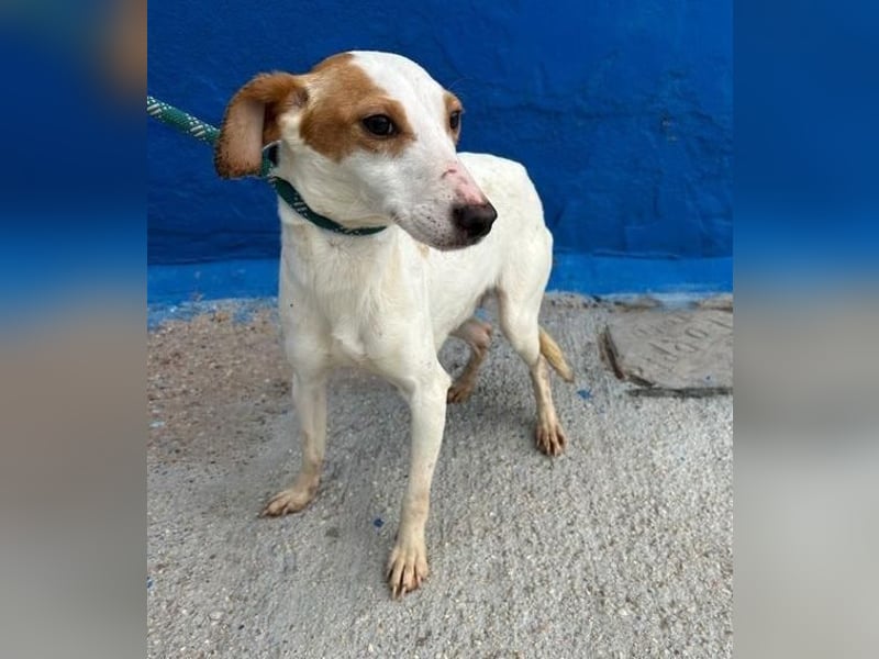 RIA Menschen findet Ria richtig gut